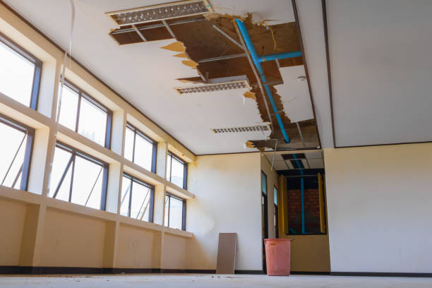Fire Damage Restoration in Milliken, CO