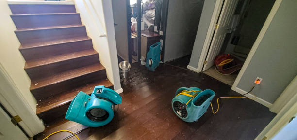Best Flooded house restoration  in Milliken, CO