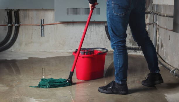 Best Professional water damage repair  in Milliken, CO
