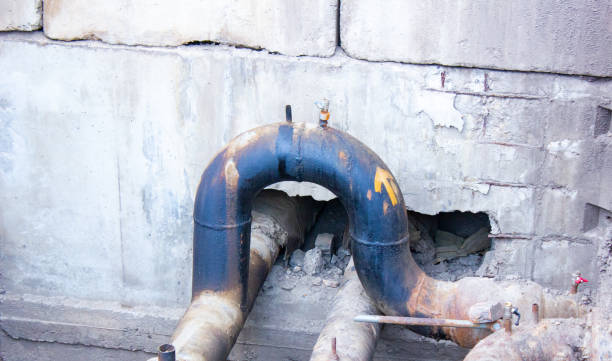 Best Flood damage cleanup  in Milliken, CO