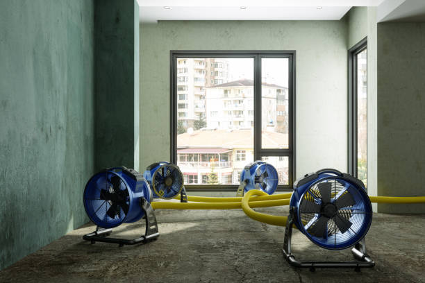 Best Fire Damage Restoration  in Milliken, CO